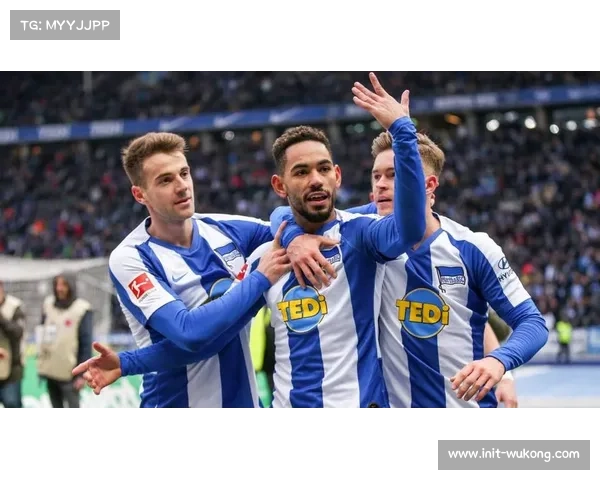 霍芬海姆客场战绩持续出色,冲击欧战资格希望大增 霍芬海姆客场战绩持续出色,冲击欧战资格希望大增